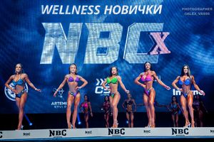 WELLNESS НОВИЧКИ